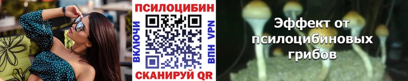 хочу наркоту  Лыткарино  Псилоцибиновые грибы ЛСД 